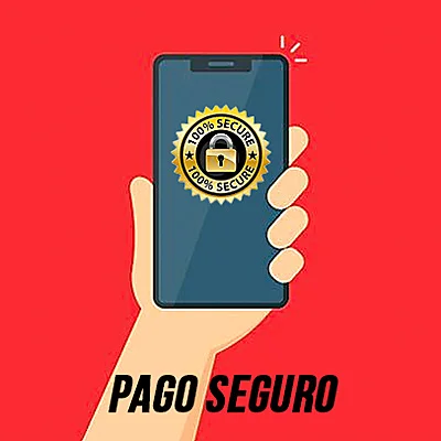 pago-seguro